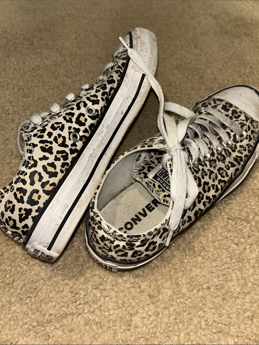 Leopard-Print Converse - Picture 4 of 7